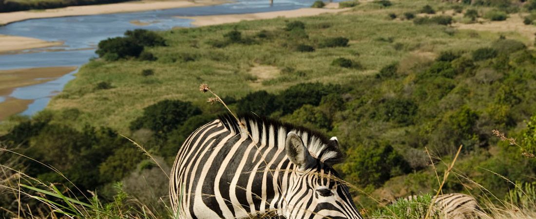 Harold Johnson Nature Reserve Harold Johnson reserve, which is run by KwaZulu Natal Wildlife, is a small reserve of only 100 hectares which offers walking trails, picnic sites, a small variety of game and a large variety of bird life.