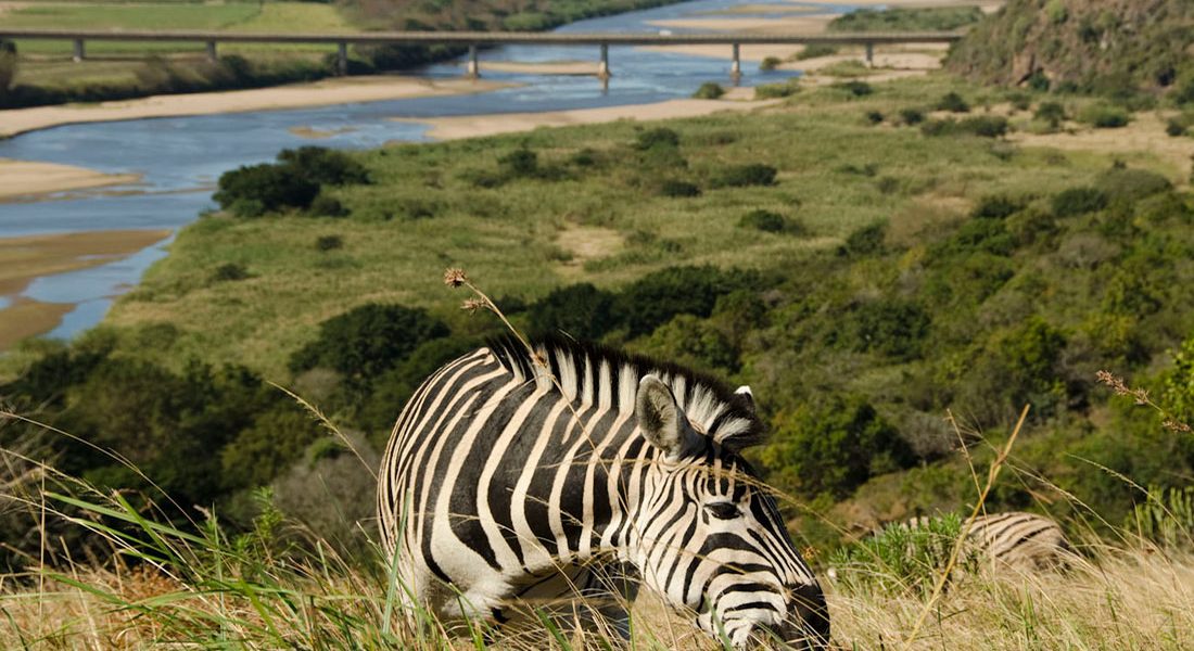 Harold Johnson Nature Reserve Harold Johnson reserve, which is run by KwaZulu Natal Wildlife, is a small reserve of only 100 hectares which offers walking trails, picnic sites, a small variety of game and a large variety of bird life.
